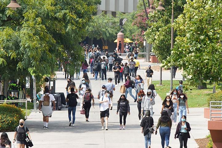 学生们走在主干道上